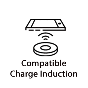 comptaible-charge-induction